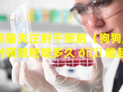 狗狗脑炎注射干细胞（狗狗脑炎注射磺胺嘧啶多久 🦄 能起效）